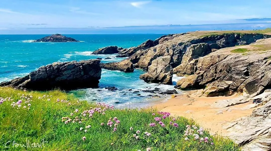 Appartement Cocon A Quiberon Dans Residence Calme, Plages Et Centre Ville A Pied Ou A Velo Pour 2 A 4 Personnes