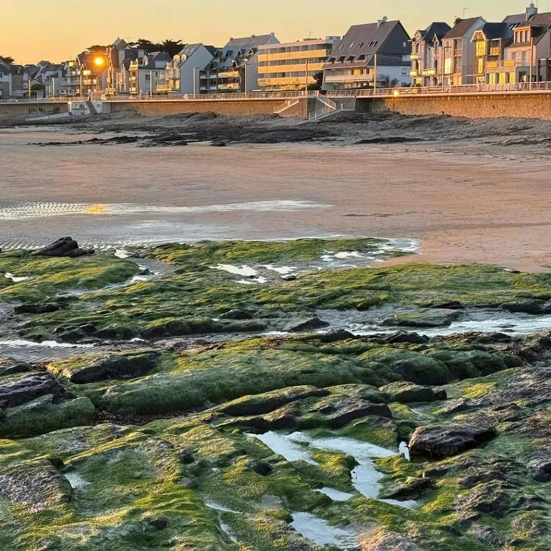 Appartement Cocon A Quiberon Dans Residence Calme, Plages Et Centre Ville A Pied Ou A Velo Pour 2 A 4 Personnes